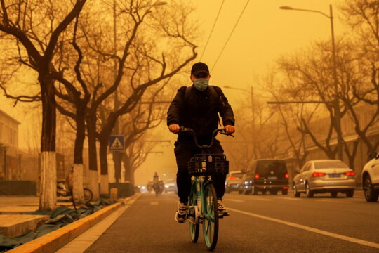 China's capital Beijing has been enveloped in the worst sandstorm in a decade, along with a wide swath of the country's north